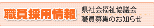 bn_adoption